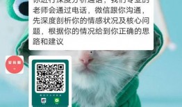 最新咨询爆料新闻视频,揭秘新闻视频背后的惊人真相